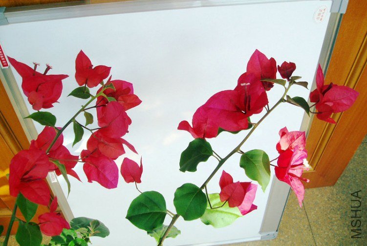 P1010053.JPG