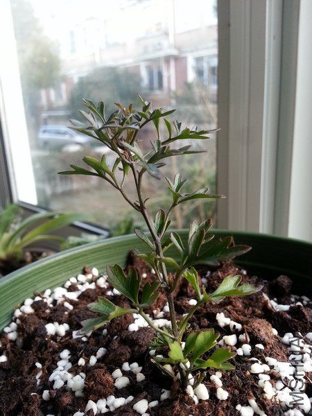 20130101_162131.jpg