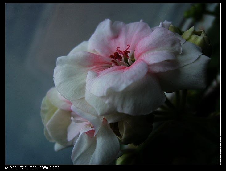 PICT6453.jpg