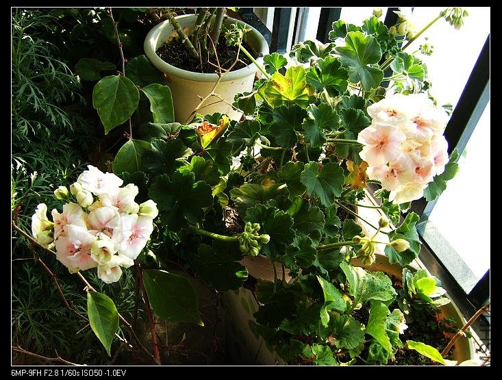 PICT6481.jpg