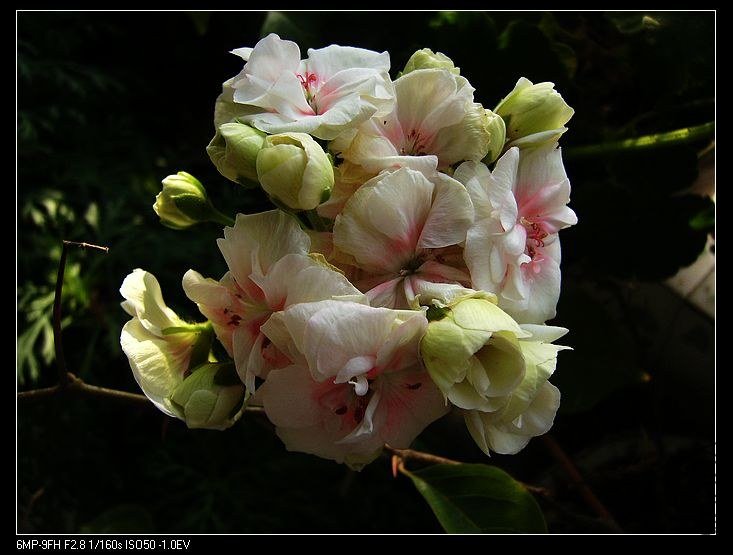 PICT6482.jpg
