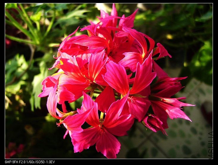 PICT6484.jpg