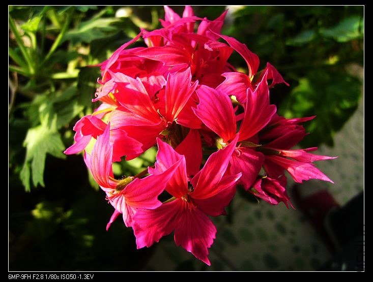 PICT6485.jpg