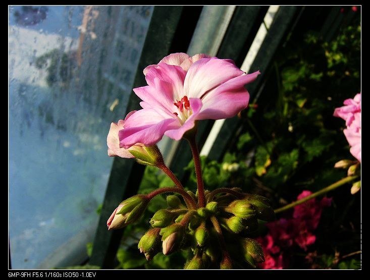 PICT6486.jpg