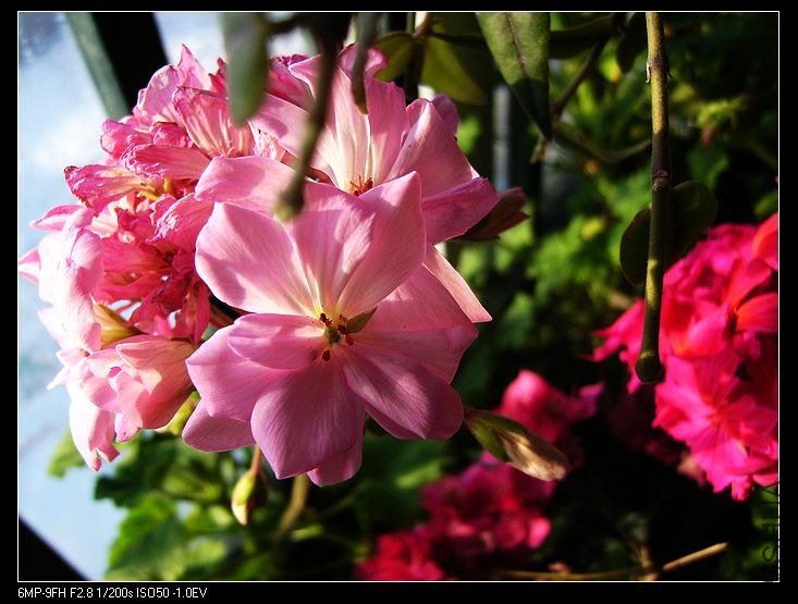 PICT6488.jpg