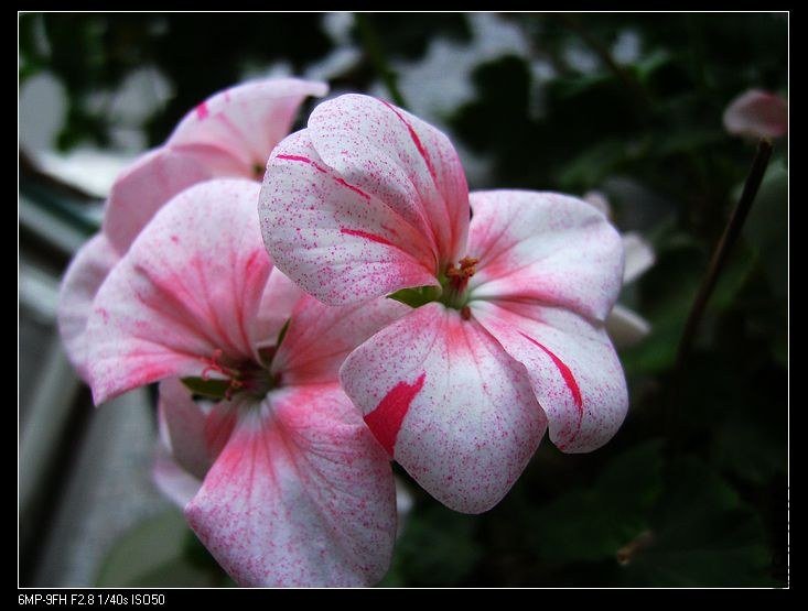 PICT6448.jpg