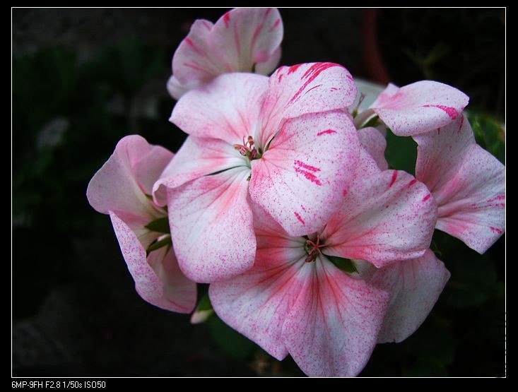 PICT6449.jpg