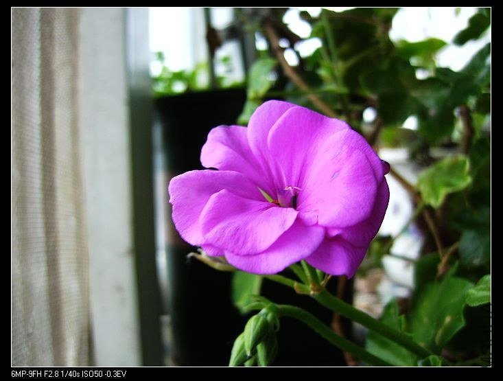 PICT6454.jpg
