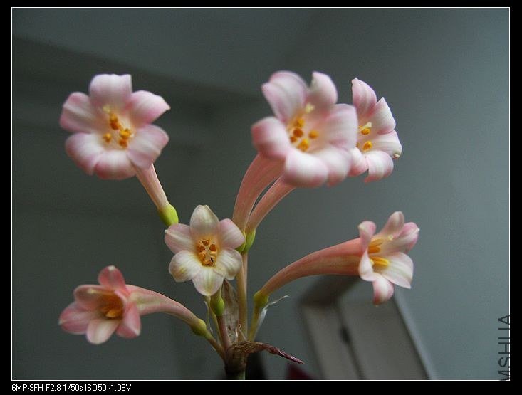 PICT6461.jpg