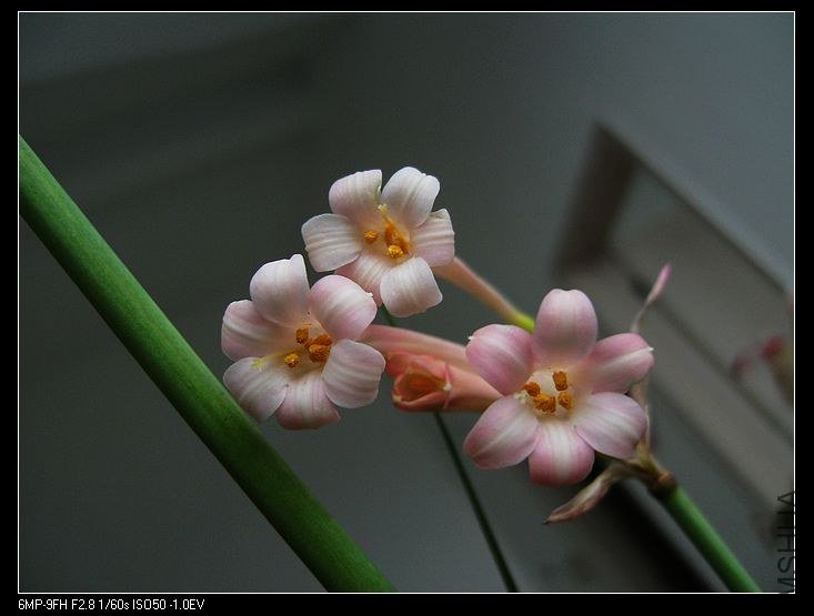 PICT6462.jpg