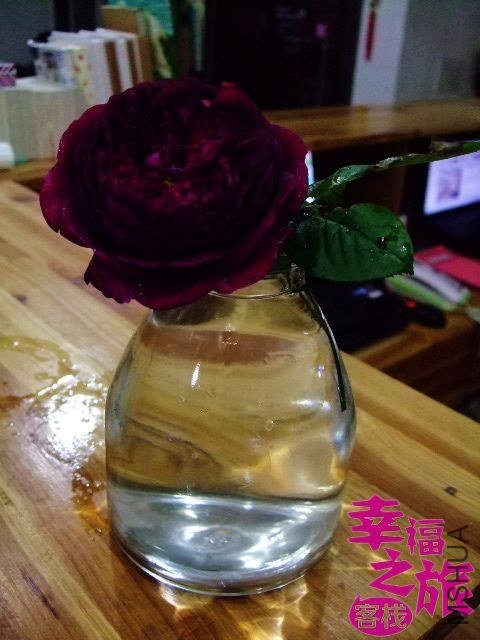 DSCF0475.JPG