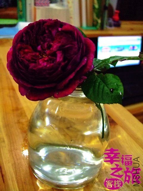 DSCF0473.JPG