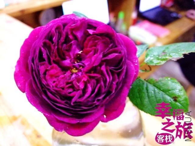 DSCF0474.JPG