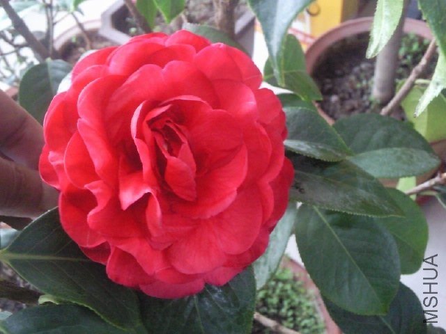 ��Ƭ0379.jpg