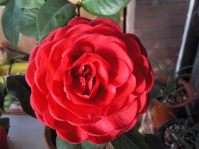 ��Ƭ0389.jpg
