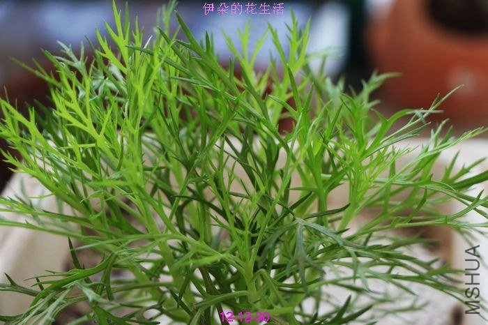 nEO_IMG_��Ƭ 207.jpg
