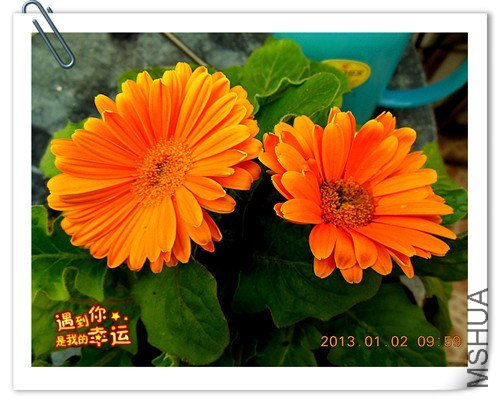 ��Ƭ 038_����.jpg