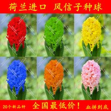 T1GD67XghXXXbcClwU_015557_jpg_b.jpg