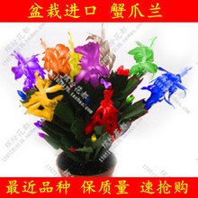 T1pnoeXbFXXXbSH0E8_070145_jpg_b.jpg