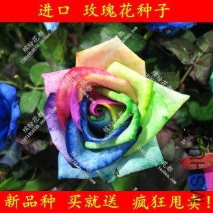 T1rEMXXlNfXXcA6zU2_044630_jpg_310x310.jpg