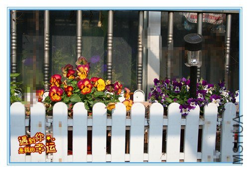 ��Ƭ 037_����.jpg