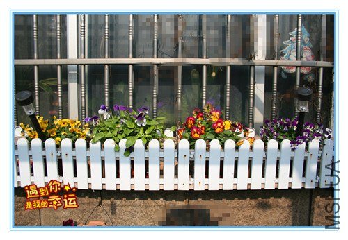 ��Ƭ 036_����1.jpg