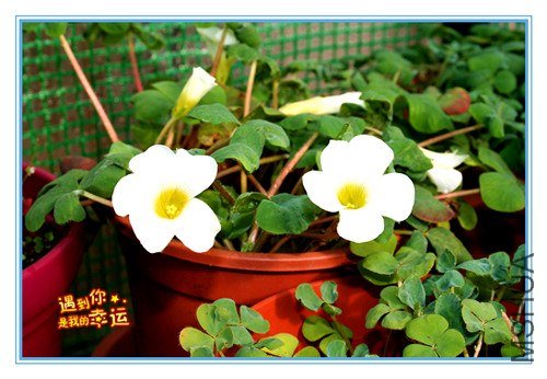 ��Ƭ 001_����.jpg