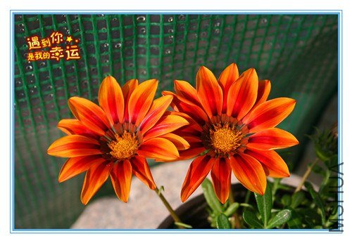 ��Ƭ 011_����1.jpg