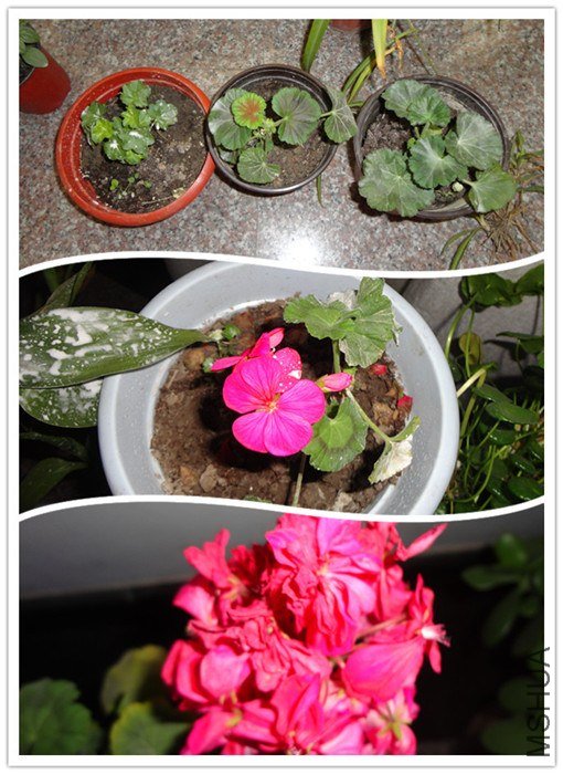 DSC03805_����_����.jpg