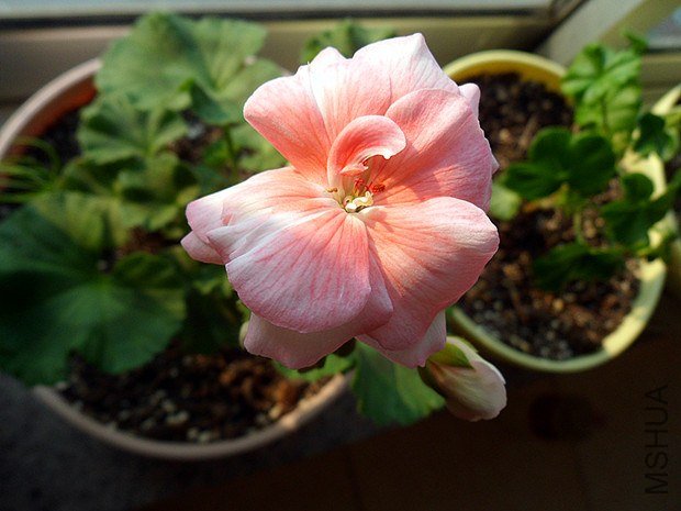 ��������������