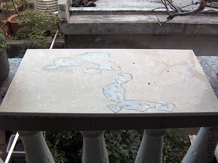 736.jpg
