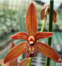 QQ��ͼ20130104011251.png