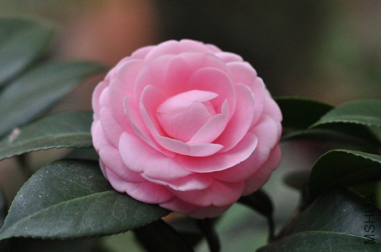 DSC_8443.JPG