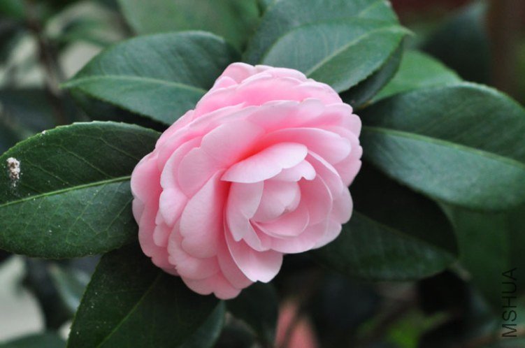 DSC_8464.JPG