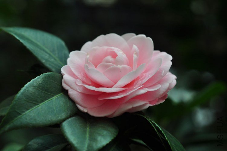 DSC_8492.JPG