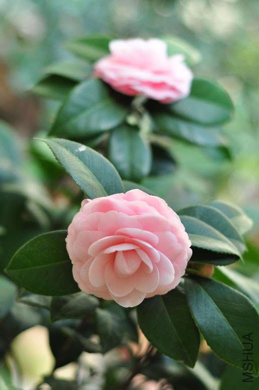 DSC_8555.JPG