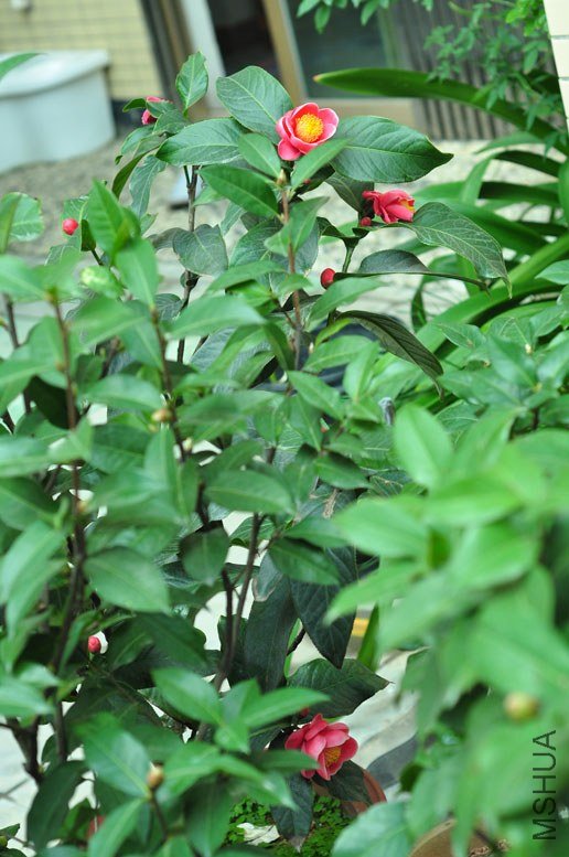 DSC_8494.JPG