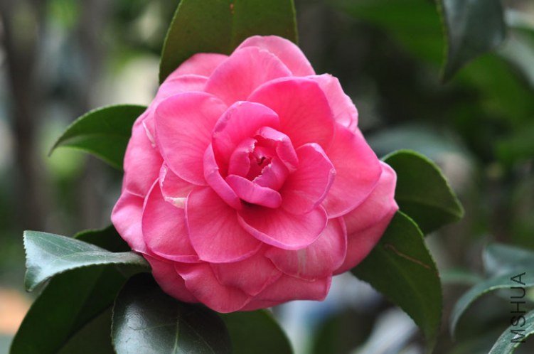 DSC_8497.JPG