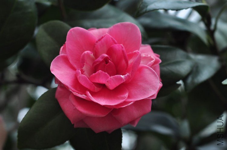 DSC_8503.JPG