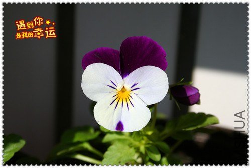 ��Ƭ 103_����.jpg