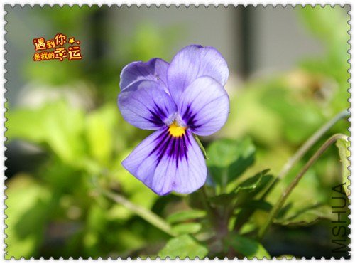 ��Ƭ 101_����.jpg