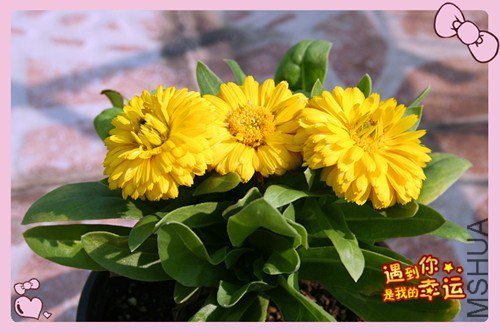 ��Ƭ 071_����.jpg