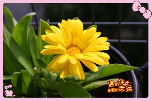 ��Ƭ 069_����.jpg