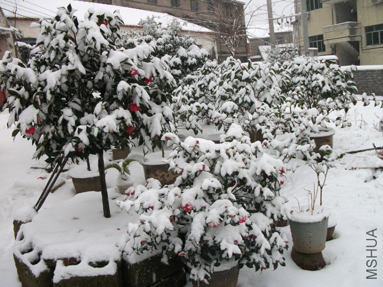 DSCF5492_����.jpg