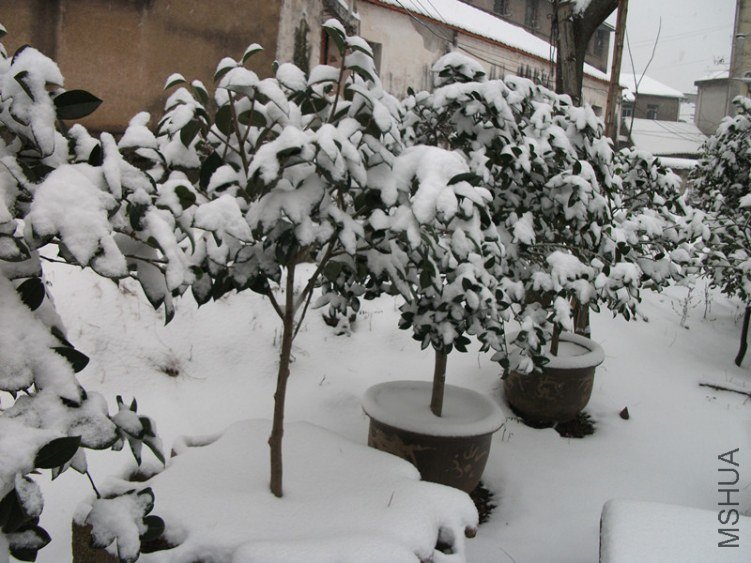 DSCF5500_����.jpg