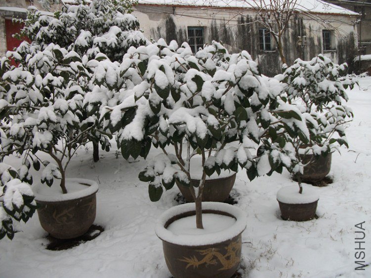 DSCF5503_����.jpg