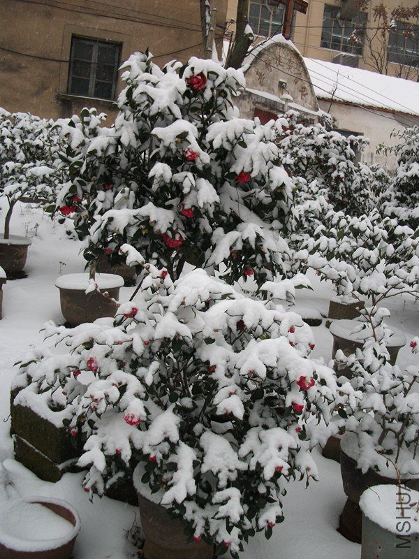DSCF5505_����.jpg