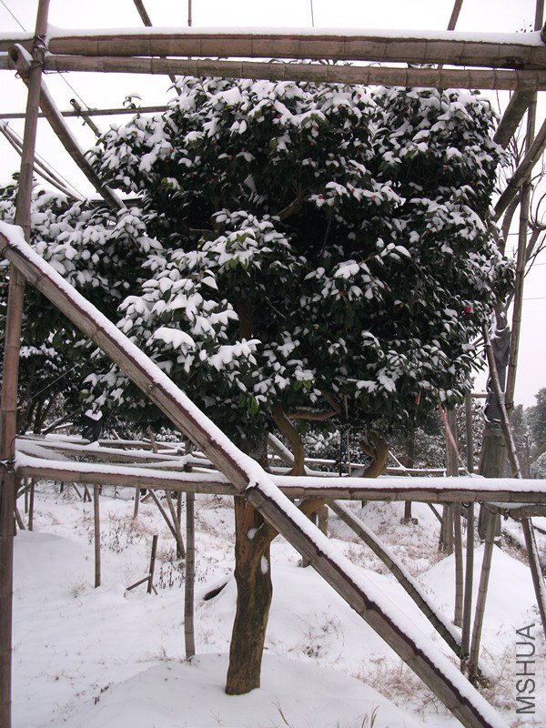 DSCF5510_����.jpg