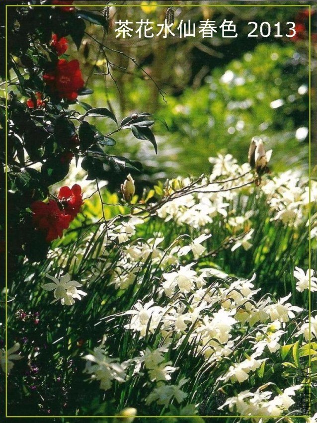 Bulb1.jpg