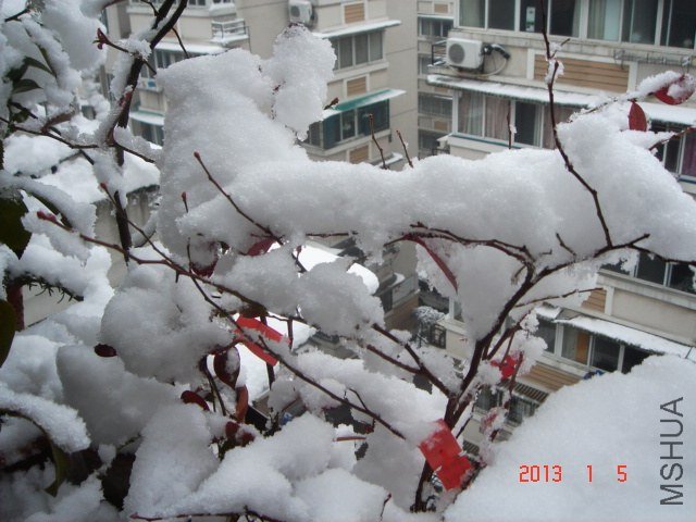 DSC04304.JPG